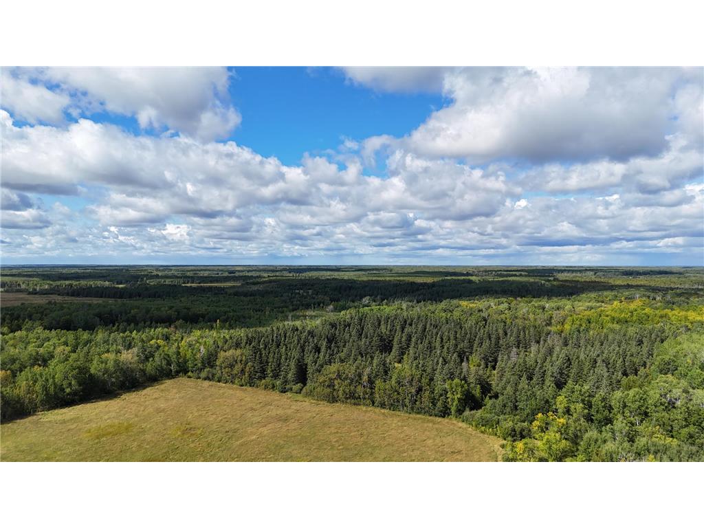 TBD County Road 31 Pomroy Twp MN 56688 6781435 image20