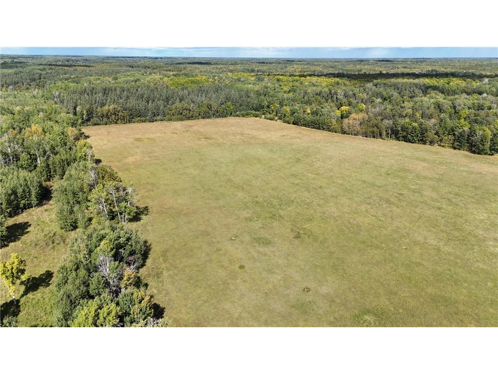 TBD County Road 31 Pomroy Twp MN 56688 6781435 image3