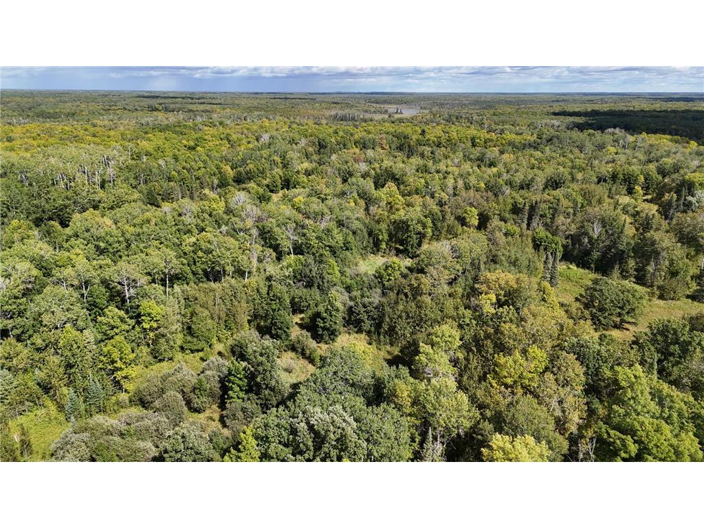 TBD County Road 31 Pomroy Twp MN 56688 6781435 image5