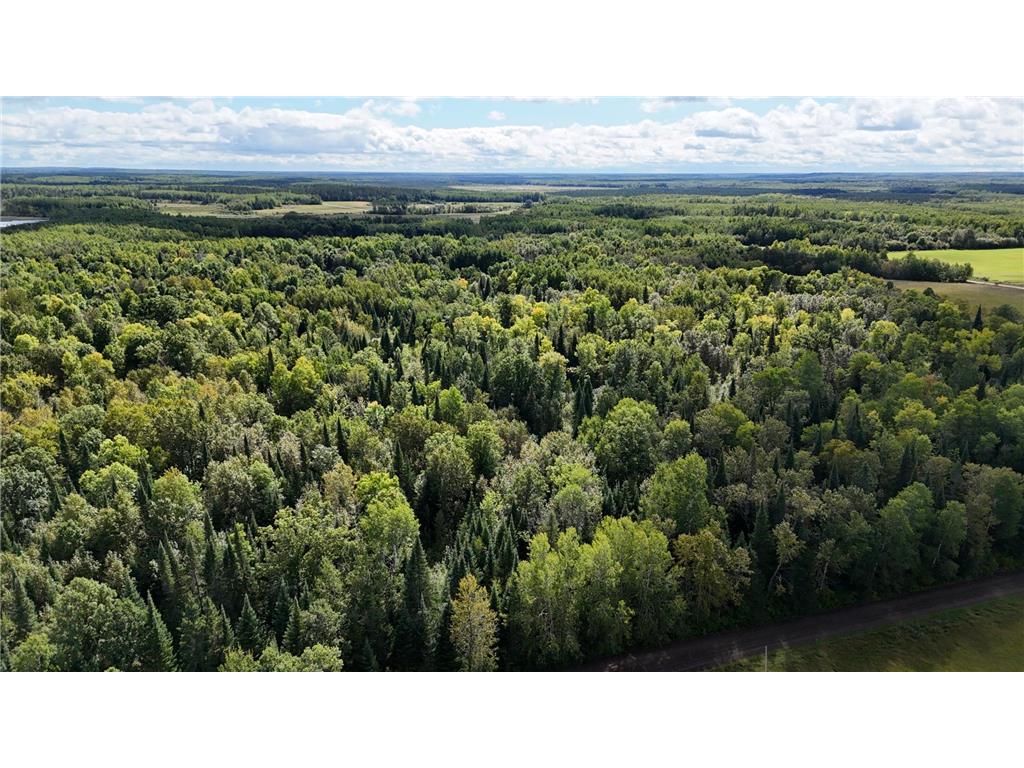 TBD County Road 31 Pomroy Twp MN 56688 6781435 image6