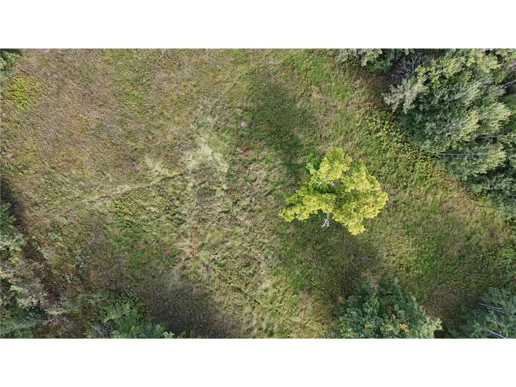TBD County Road 31 Pomroy Twp MN 56688 6781435 image7