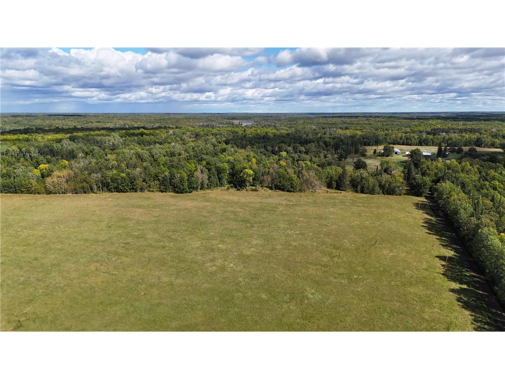 TBD County Road 31 Pomroy Twp MN 56688 6781435 image9