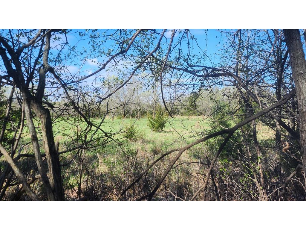 TBD County Road 35 Big Lake Twp MN 55330 - Tibbets Brook 7055020 image10