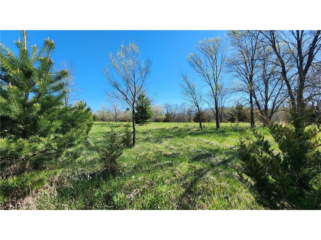 TBD County Road 35 Big Lake Twp MN 55330 - Tibbets Brook 7055020 image6