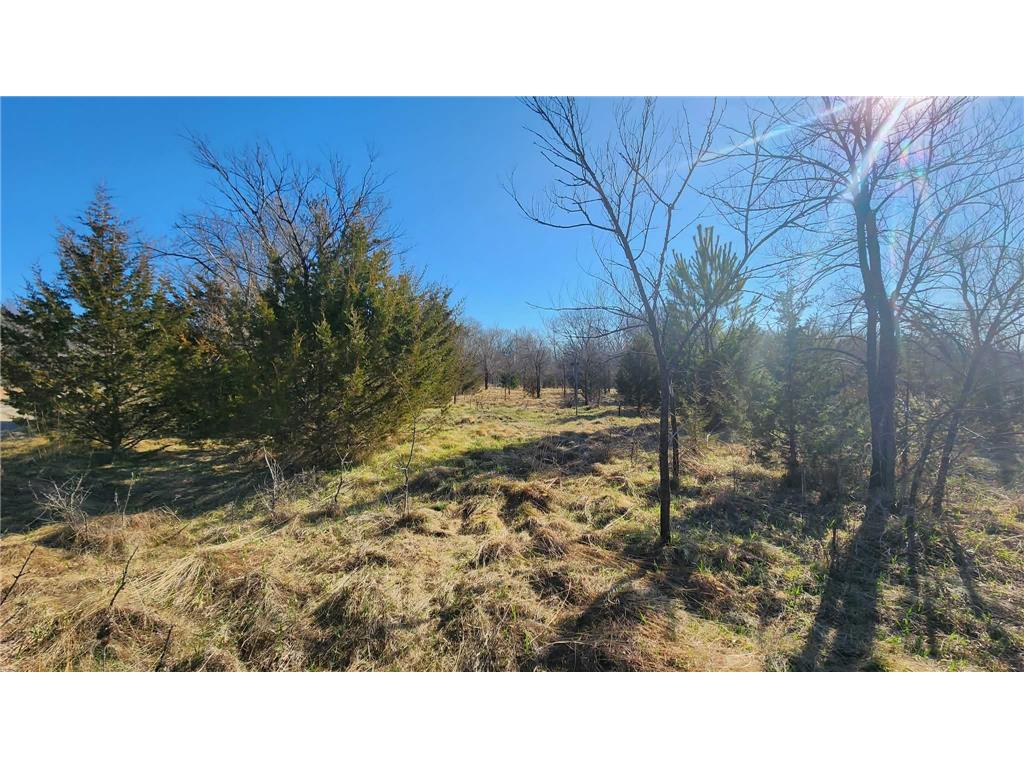 TBD County Road 35 Big Lake Twp MN 55330 - Tibbets Brook 7055020 image7