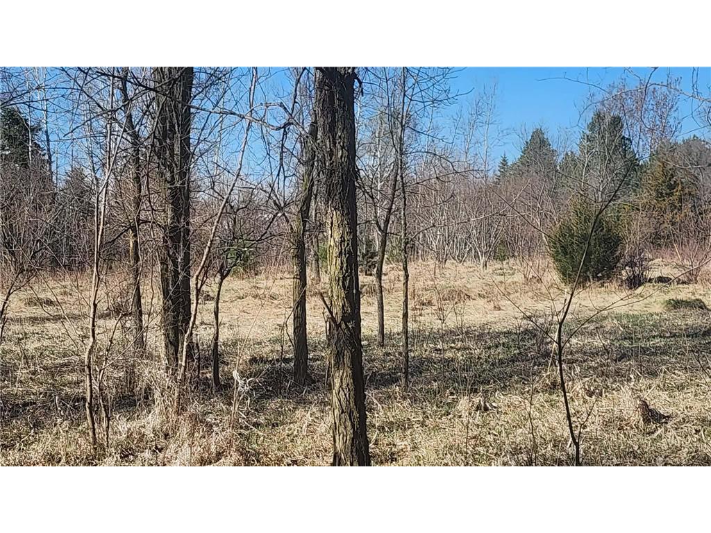 TBD County Road 35 Big Lake Twp MN 55330 - Tibbets Brook 7055020 image8