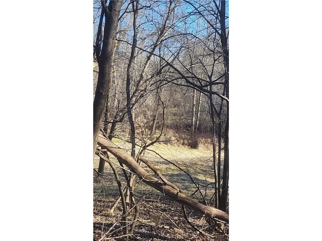 TBD County Road 35 Big Lake Twp MN 55330 - Tibbets Brook 7055020 image9