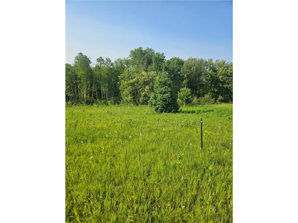 TBD County Road 36 Crosby MN 56441 7095135 image10