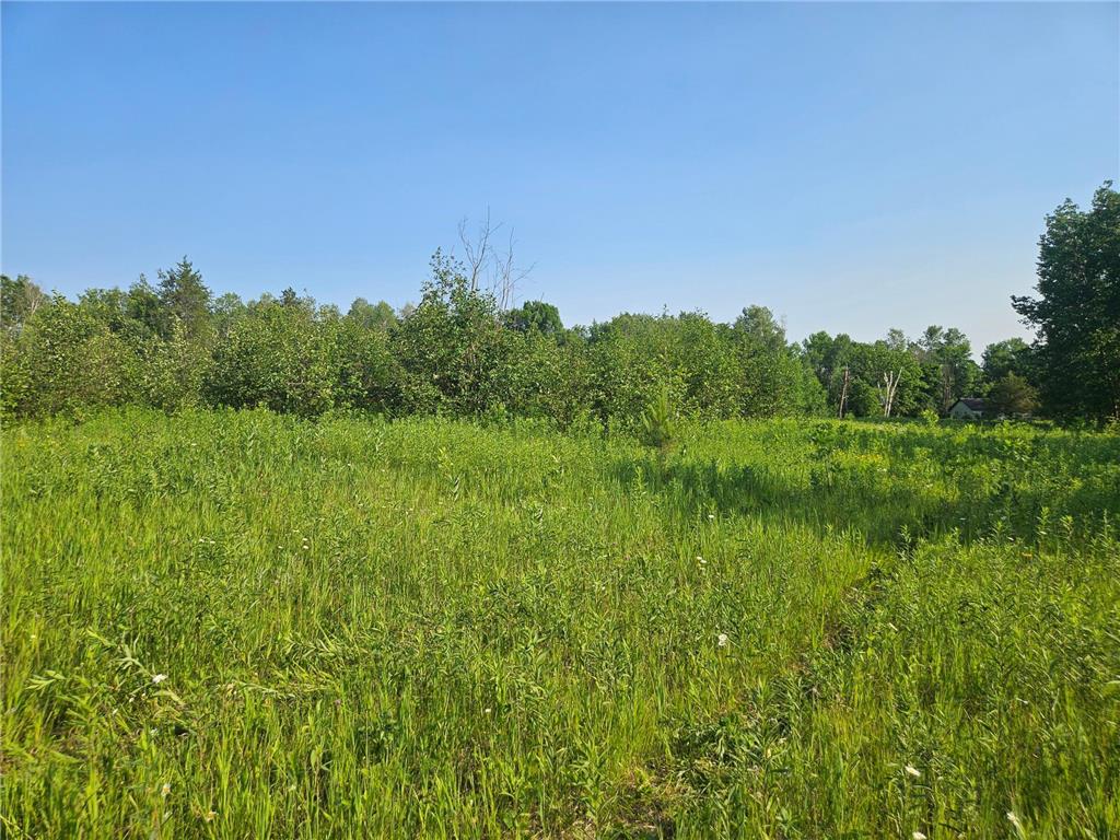 TBD County Road 36 Crosby MN 56441 7095135 image12