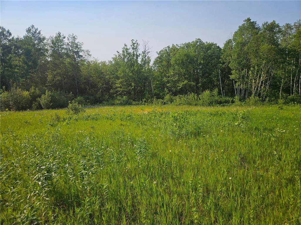 TBD County Road 36 Crosby MN 56441 7095135 image3