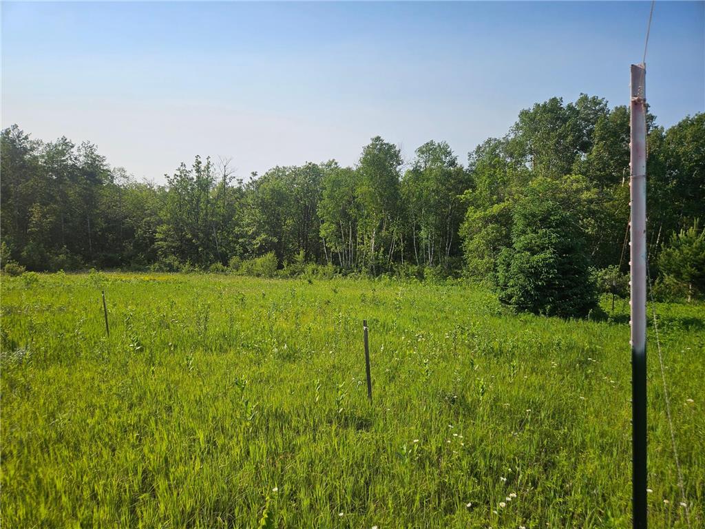TBD County Road 36 Crosby MN 56441 7095135 image6