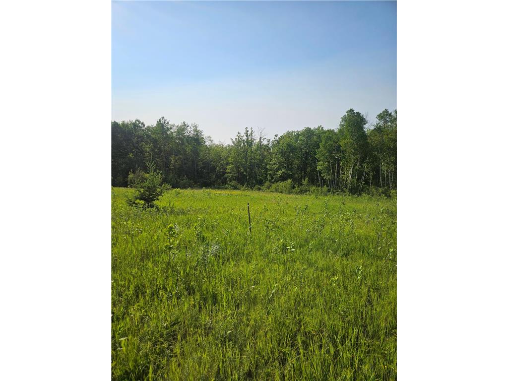TBD County Road 36 Crosby MN 56441 7095135 image9