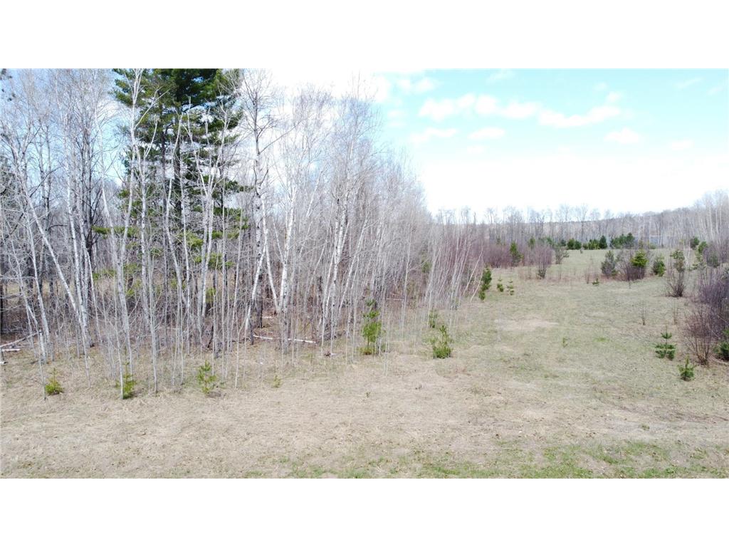 TBD County Road 36 Fairfield Twp MN 56447 7065318 image12