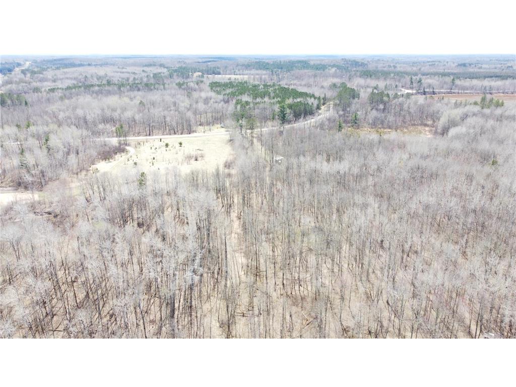 TBD County Road 36 Fairfield Twp MN 56447 7065318 image6