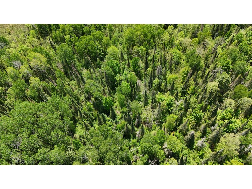 TBD County Road 4 Cromwell MN 55726 7085791 image10
