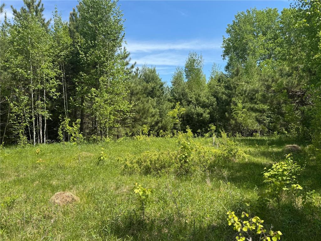 TBD County Road 4 Cromwell MN 55726 7085791 image12