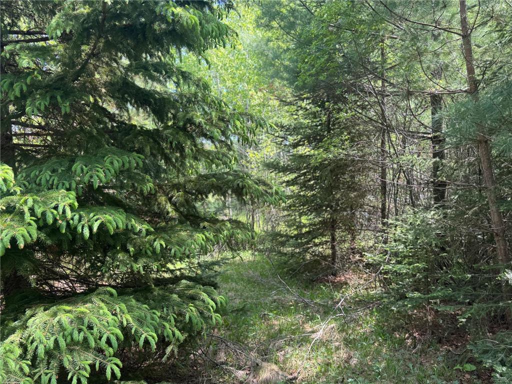 TBD County Road 4 Cromwell MN 55726 7085791 image5