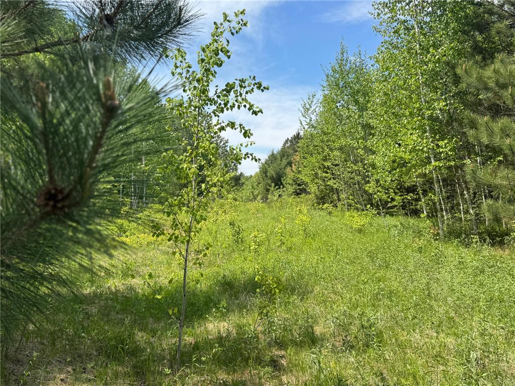 TBD County Road 4 Cromwell MN 55726 7085791 image7