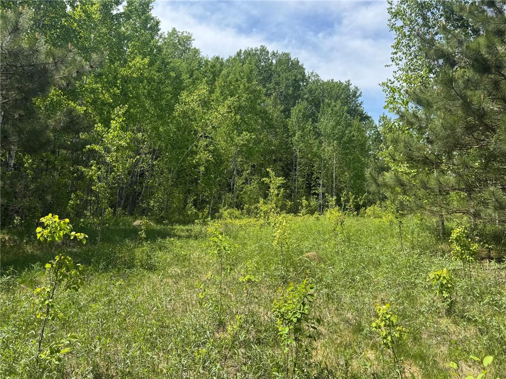 TBD County Road 4 Cromwell MN 55726 7085791 image9
