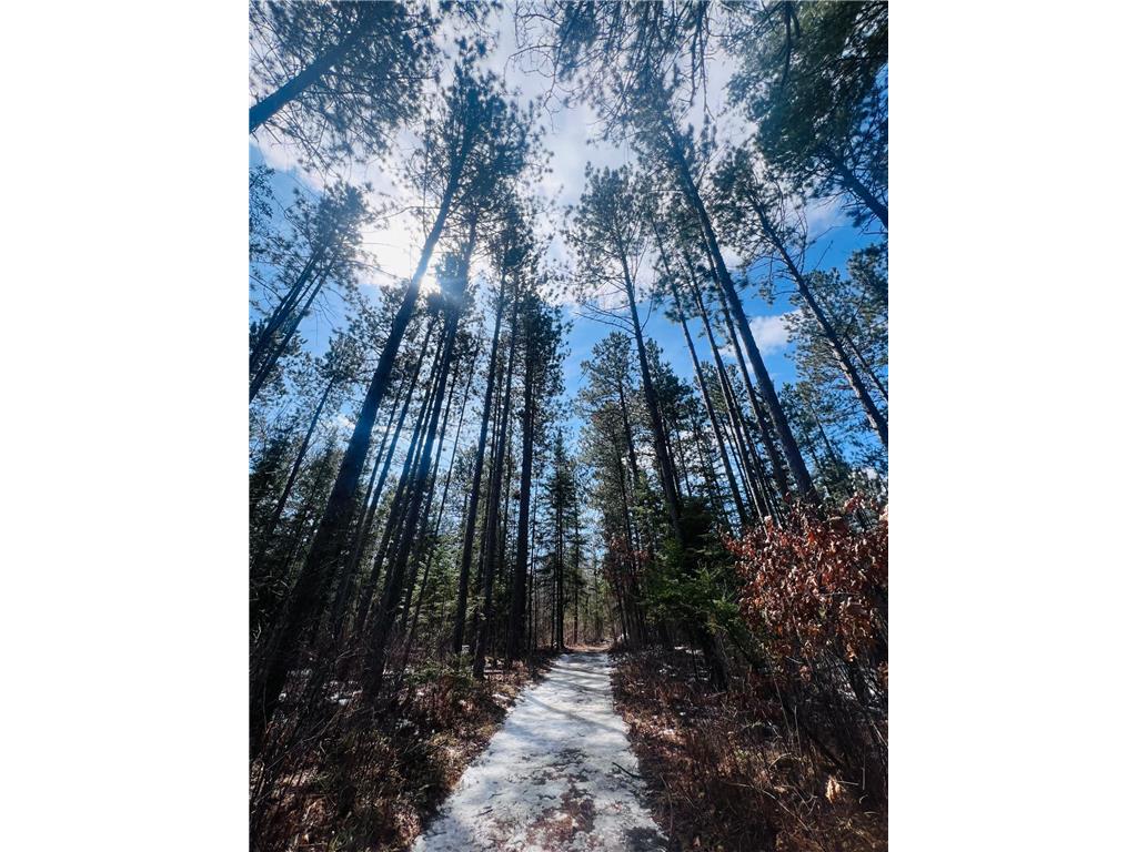 TBD County Road 4 Lake Jessie Twp MN 56637 6703711 image1