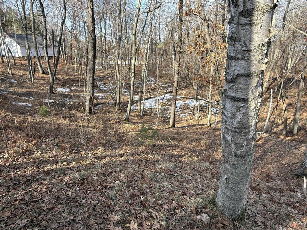 TBD County Road 4 Pequot Lakes MN 56472 - Little Pelican 6711429 image10