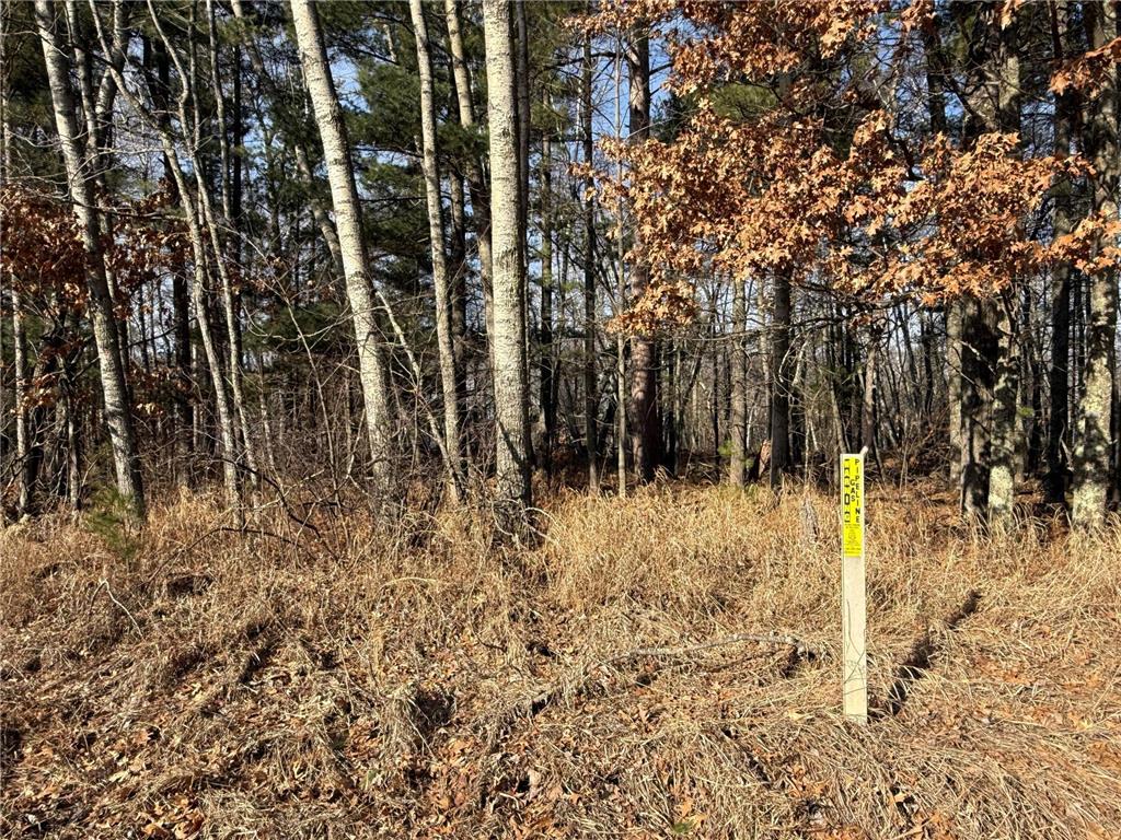 TBD County Road 4 Pequot Lakes MN 56472 - Little Pelican 6711429 image11