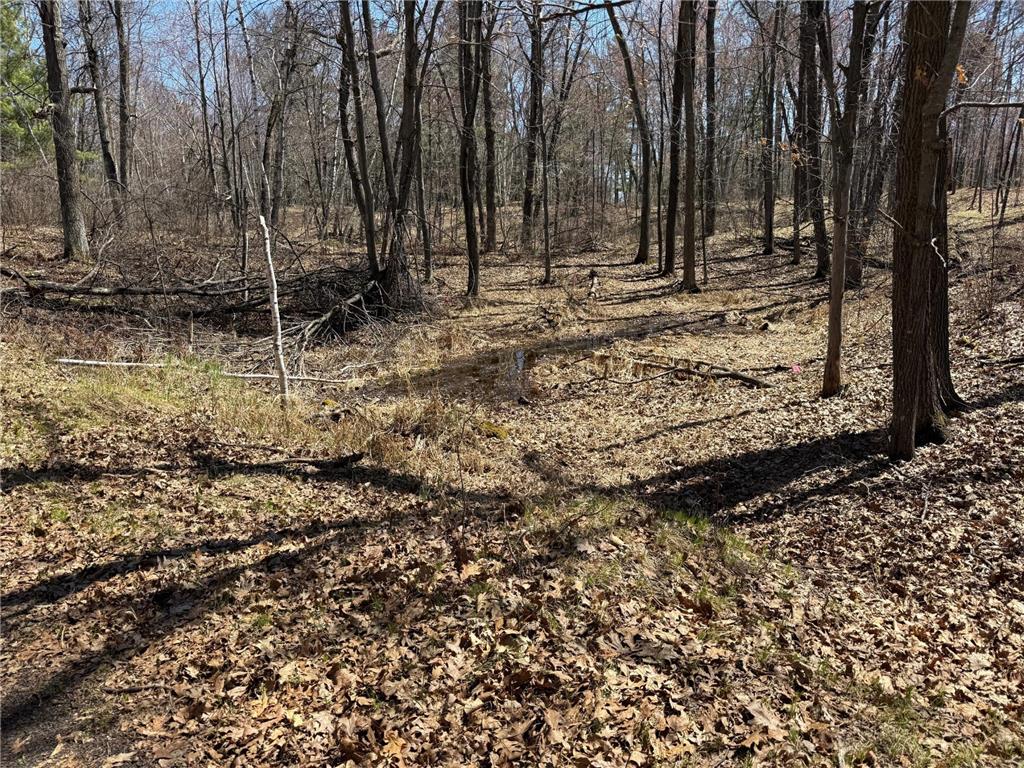 TBD County Road 4 Pequot Lakes MN 56472 - Little Pelican 6711429 image12