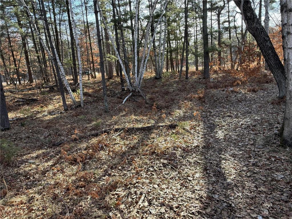 TBD County Road 4 Pequot Lakes MN 56472 - Little Pelican 6711429 image6