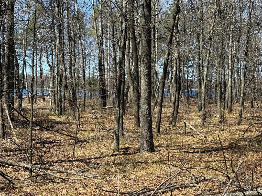 TBD County Road 4 Pequot Lakes MN 56472 - Little Pelican 6711429 image7