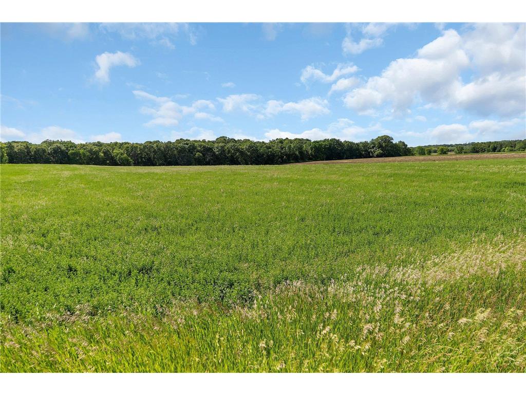 TBD County Road 4 Saint Wendel Twp MN 56374 6804188 image9