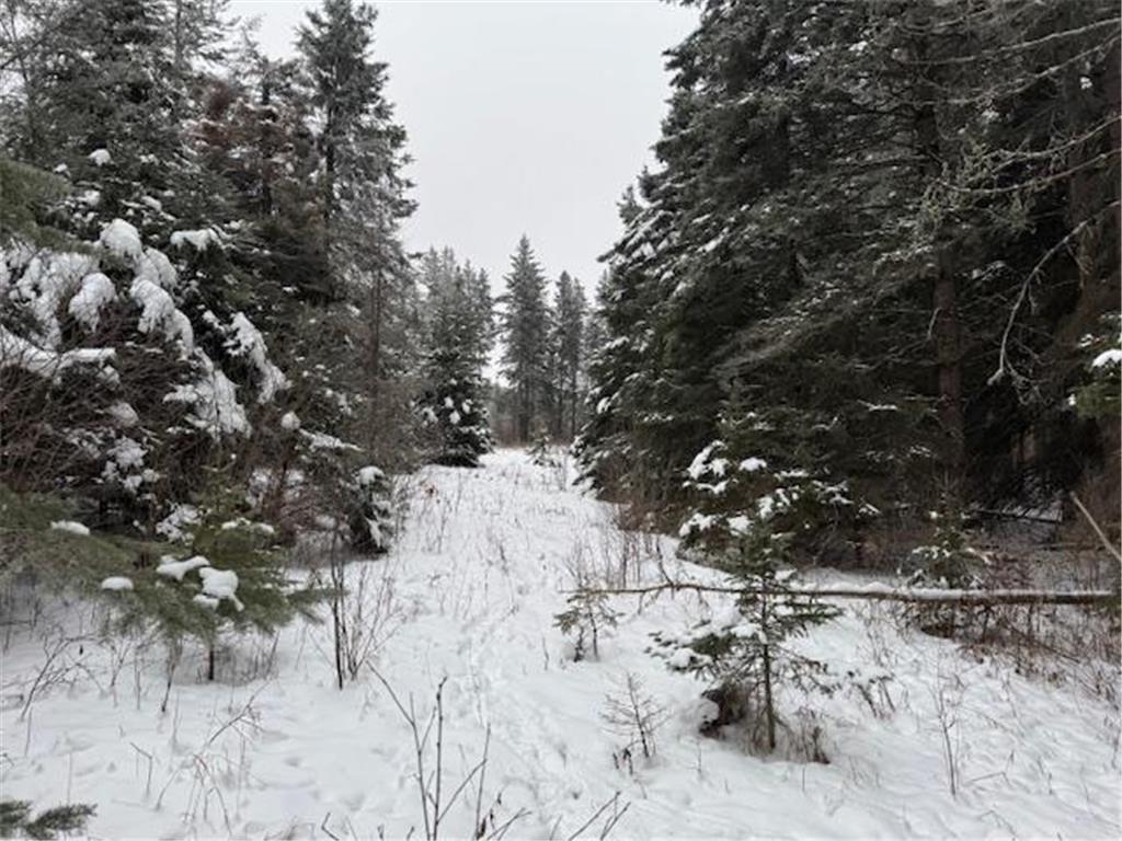TBD County Road 4 Spring Lake MN 56680 6647164 image1