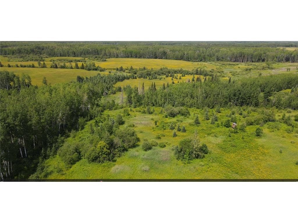 TBD County Road 42 Bigfork MN 56639 6571595 image1