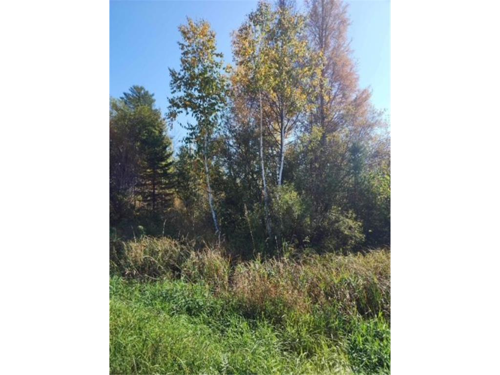 TBD County Road 429, Wawina Twp, MN, 55744 MLS 6455444 Edina Realty