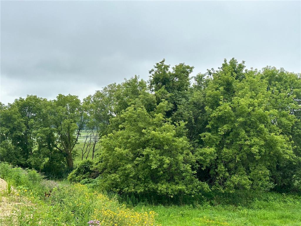 TBD County Road 43 Laketown Twp MN 55318 - Marsh 6740544 image2