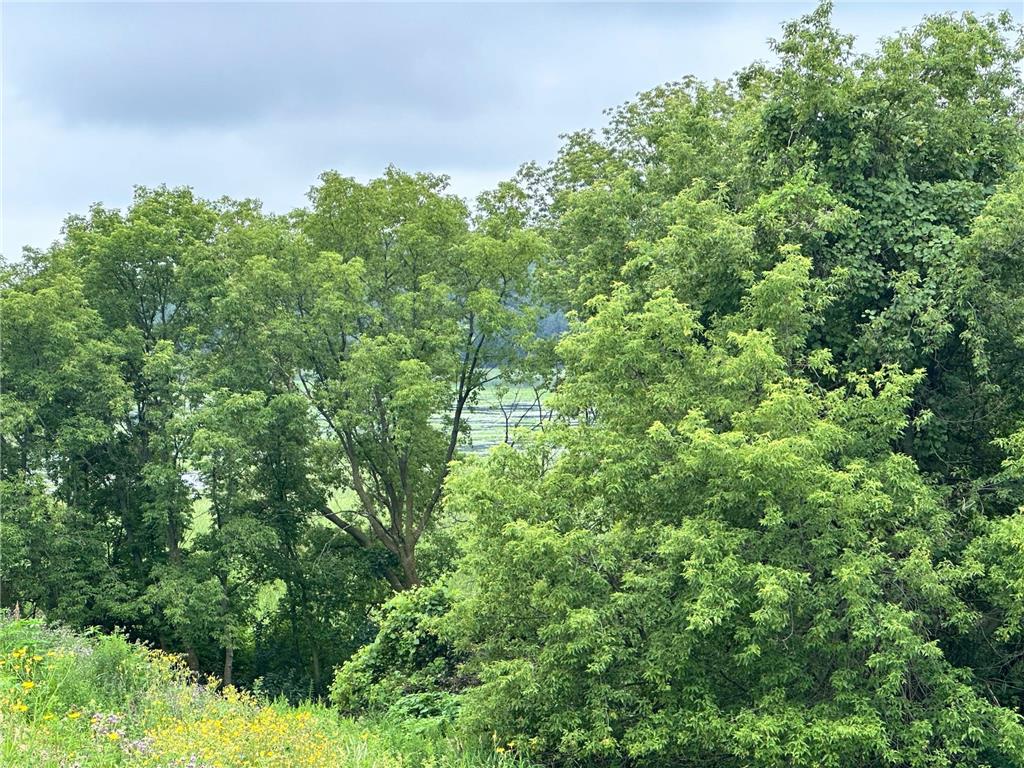 TBD County Road 43 Laketown Twp MN 55318 - Marsh 6740544 image3