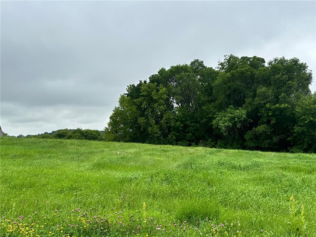 TBD County Road 43 Laketown Twp MN 55318 - Marsh 6740544 image6