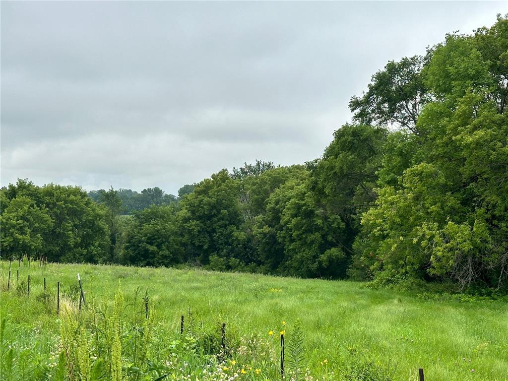 TBD County Road 43 Laketown Twp MN 55318 - Marsh 6740544 image7