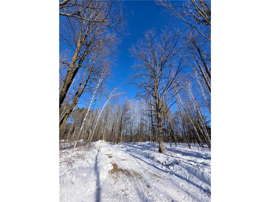 TBD County Road 43 Willow River MN 55795 7015232 image11