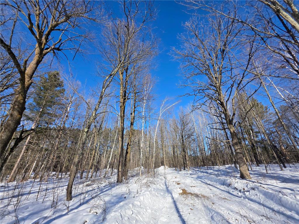TBD County Road 43 Willow River MN 55795 7015232 image12
