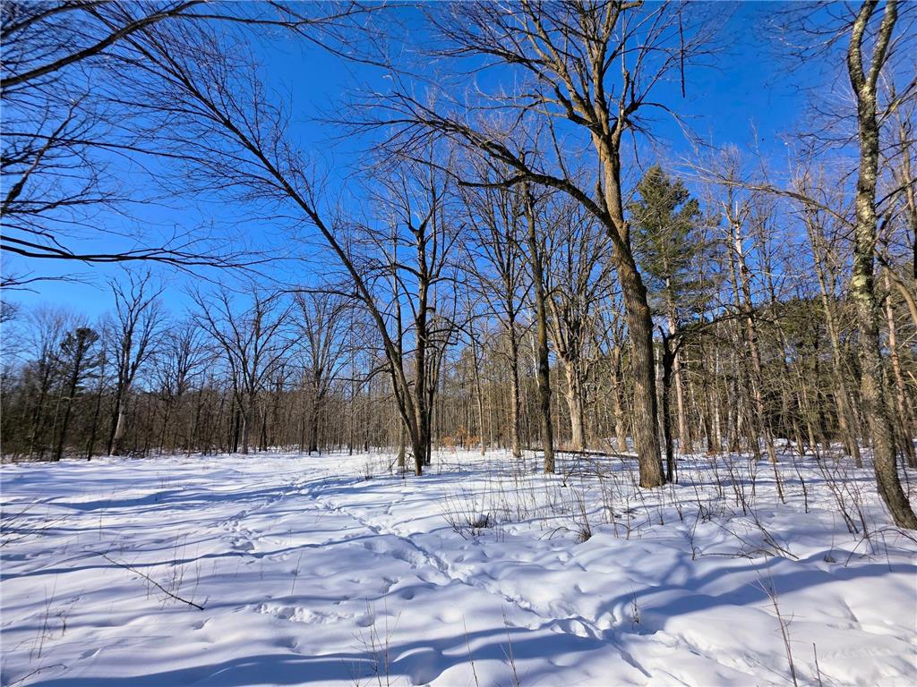 TBD County Road 43 Willow River MN 55795 7015232 image13