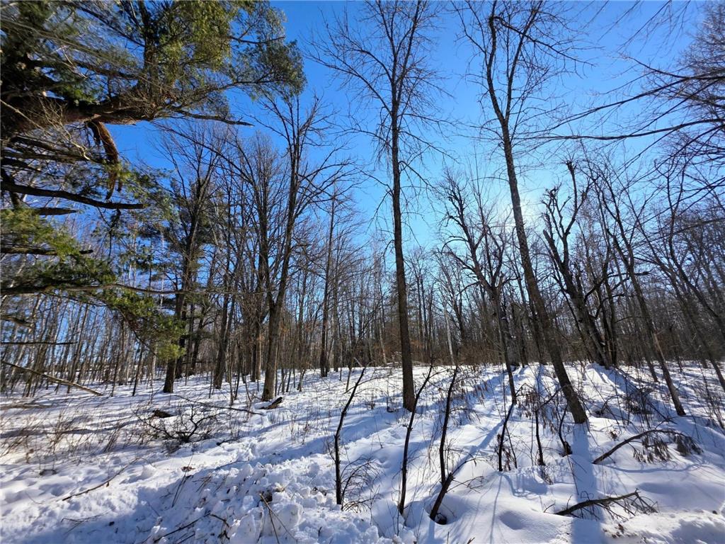 TBD County Road 43 Willow River MN 55795 7015232 image14