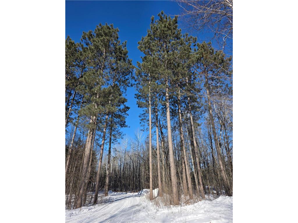 TBD County Road 43 Willow River MN 55795 7015232 image4