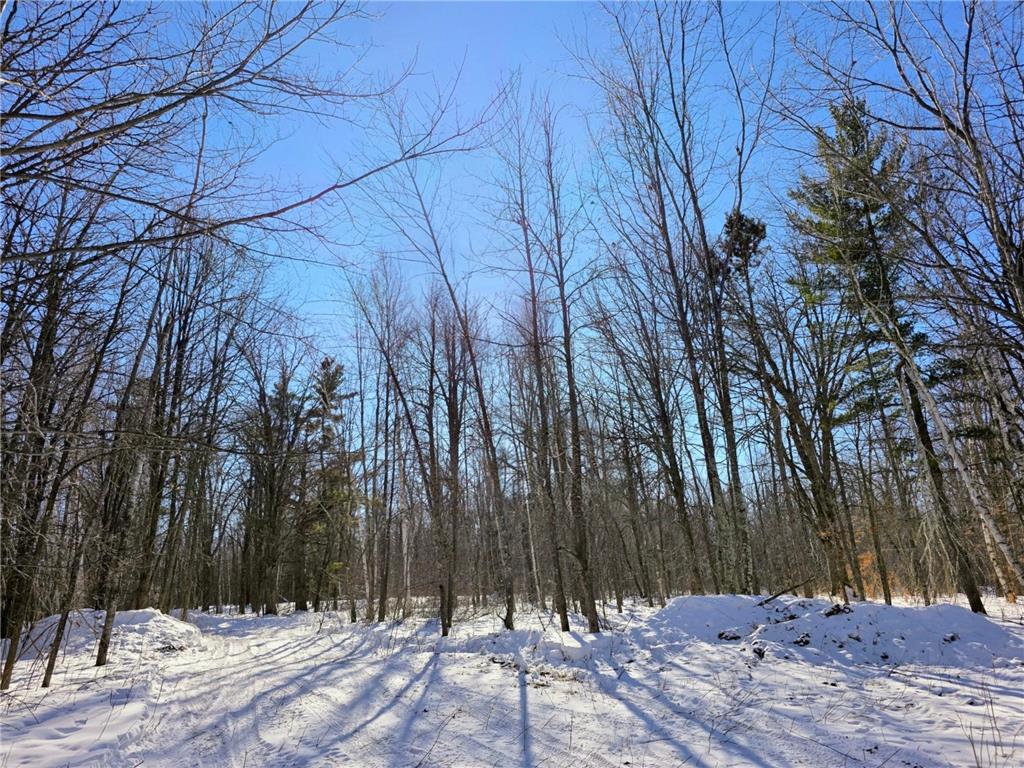 TBD County Road 43 Willow River MN 55795 7015232 image6