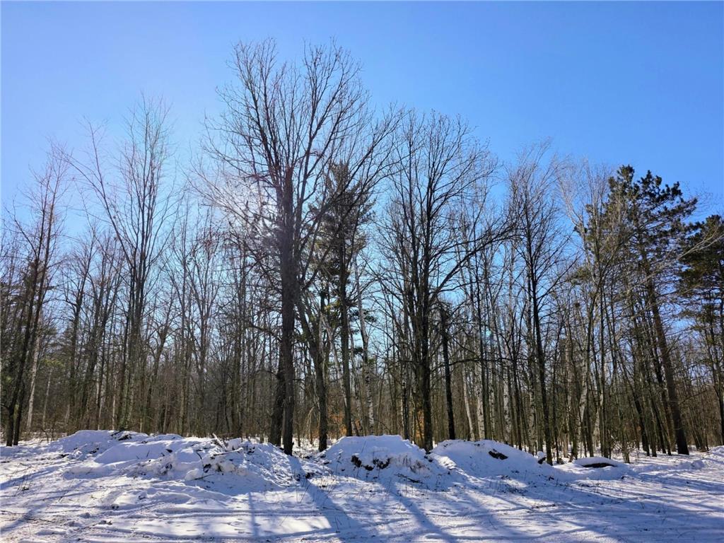 TBD County Road 43 Willow River MN 55795 7015232 image8