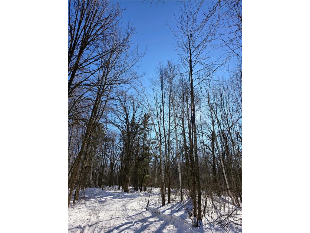 TBD County Road 43 Willow River MN 55795 7015232 image9