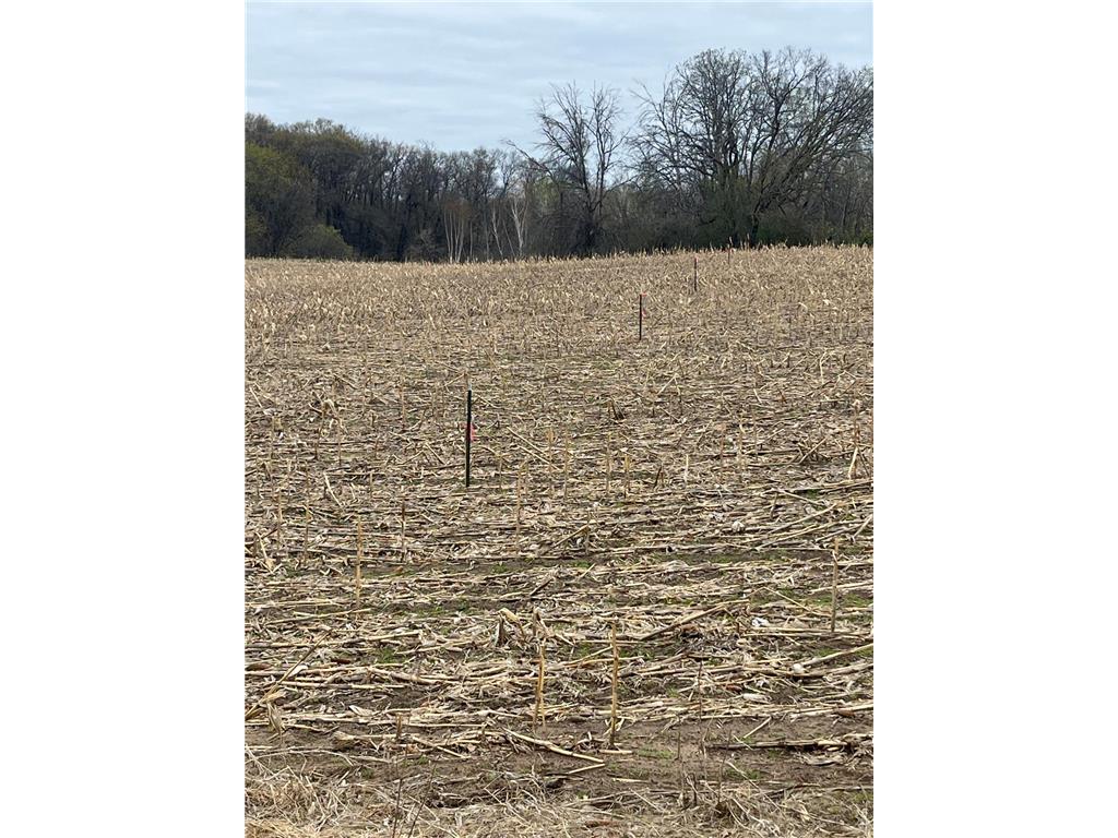 TBD County Road 5 NW Bradford Twp MN 55040 7039559 image3