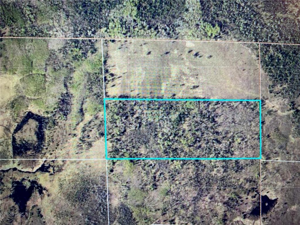 TBD County Road 525 Effie MN 56639 6675530 image1