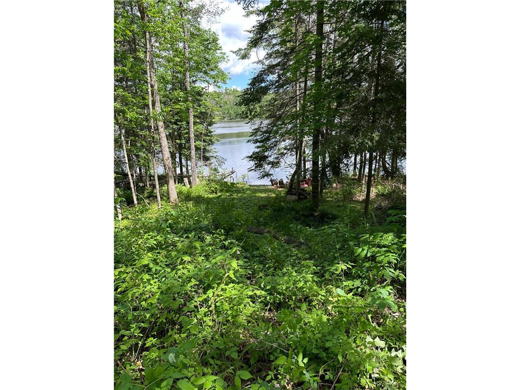 TBD County Road 58 Nashwauk MN 55769 - Little McCarthy 6563883 image1