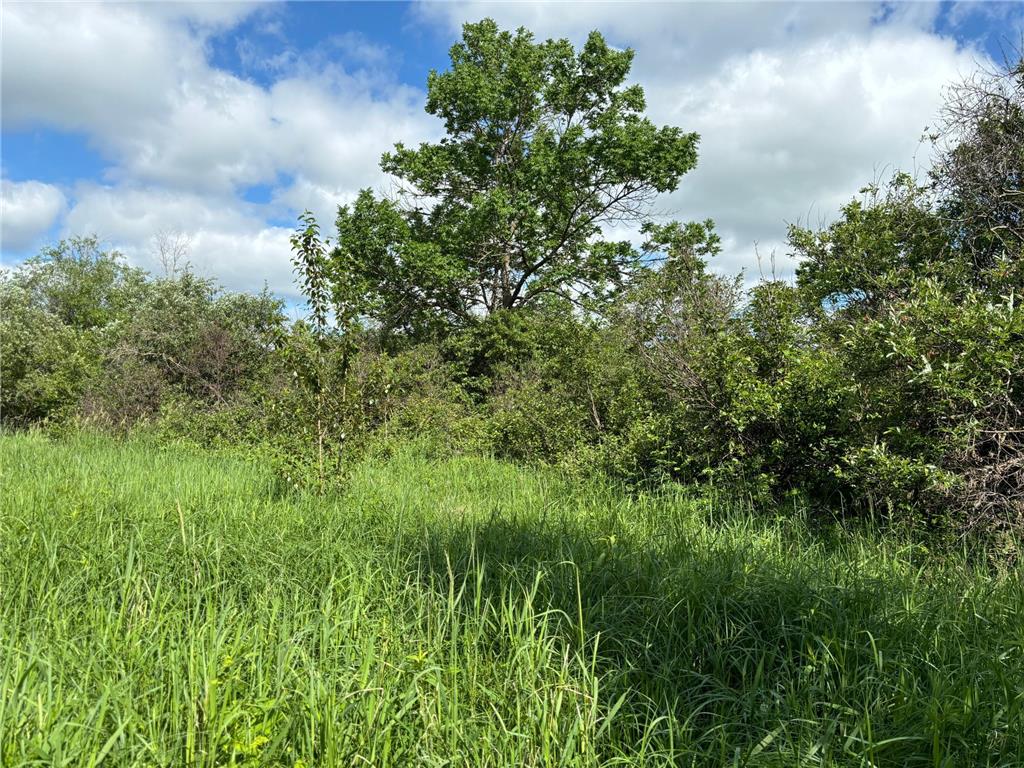 TBD County Road 7 Bagley MN 56621 6555997 image2