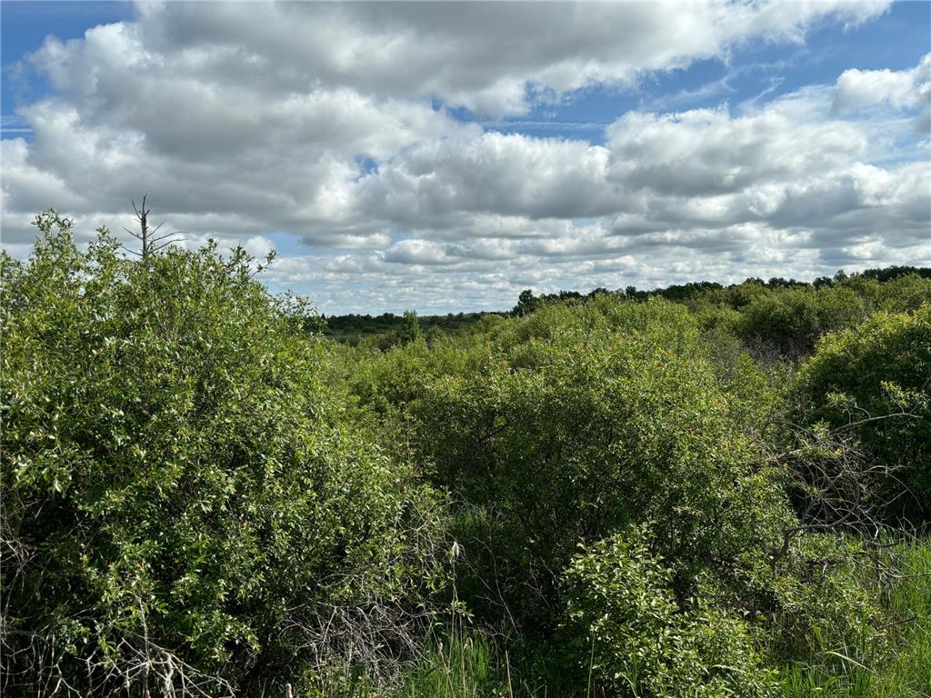 TBD County Road 7 Bagley MN 56621 6555997 image8